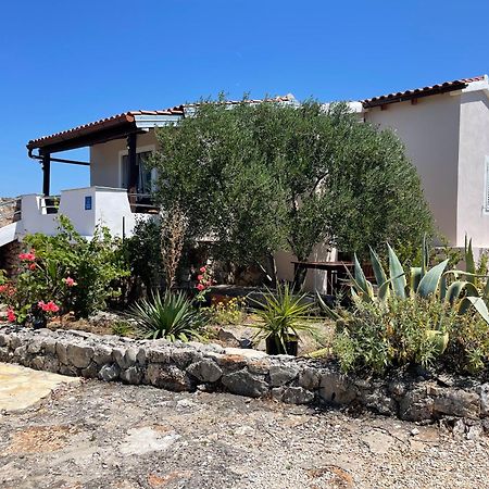 Holiday House Rusticana Sali, Dugi Otok Near Np Kornati 外观 照片