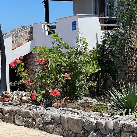 Holiday House Rusticana Sali, Dugi Otok Near Np Kornati 外观 照片